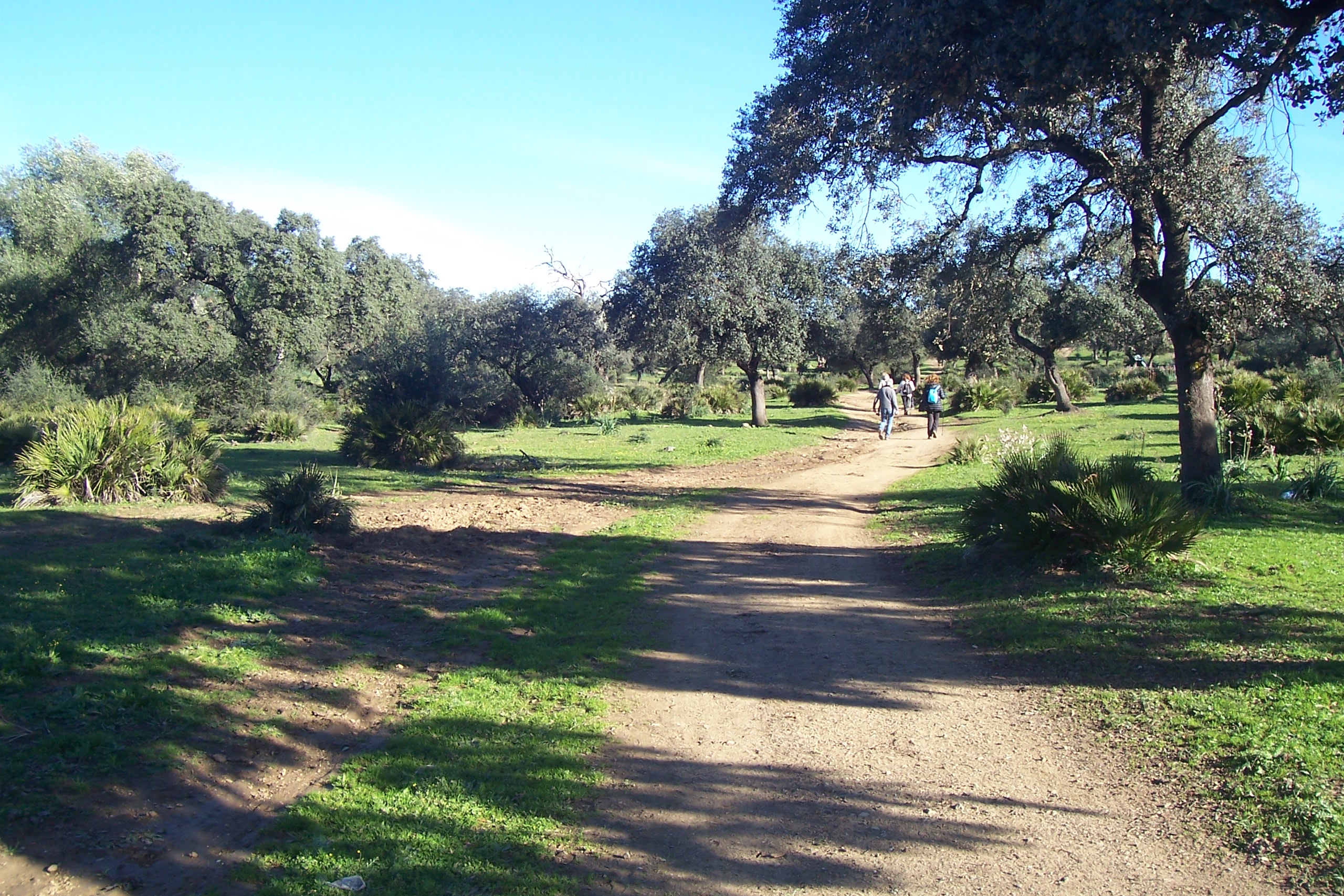Salida de Guillena a Castilblanco de los Arroyos. 16-01-2.016