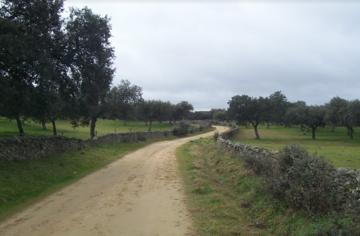Salida Real de la Jara a Fuente de Cantos 16 y 17-12-2017