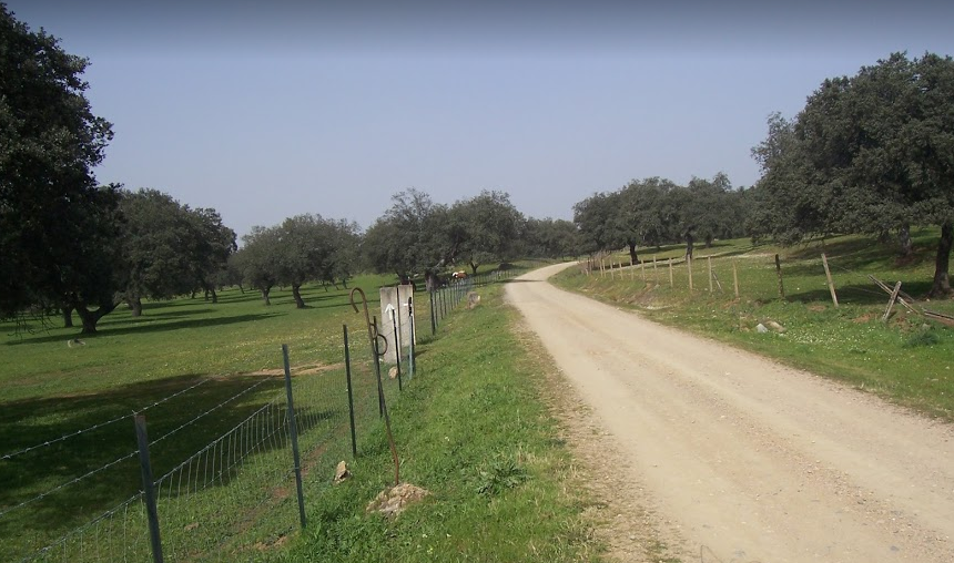 Salida Almadén de la Plata - Real de la Jara el 18-11-2017 (Vía de la Plata)