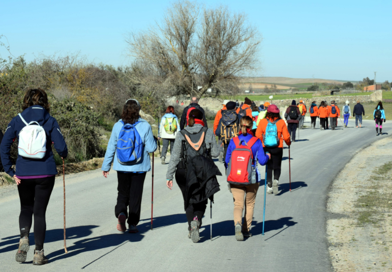 Crónica de la salida Llerena - Usagre (Camino de la Frontera) 12/01/2019