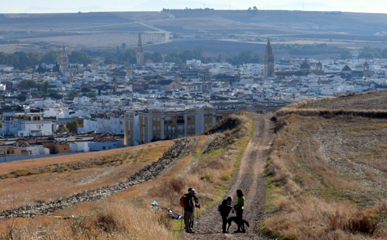 Crónica de la Salida del 09-11-2019 . Écija - Cañada Rosal (Camino de la Frontera)