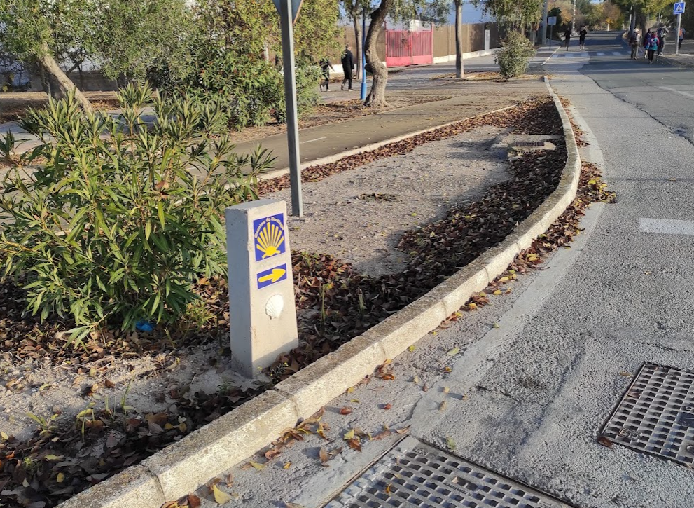 Crónica de la salida Lebrija - Las Cabezas de San Juan (Via Augusta) 11-12-2021