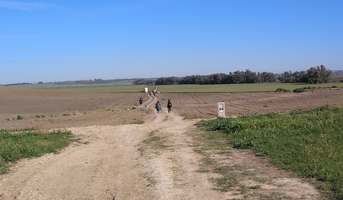 Crónica de la salida a Utrera - Alcalá de Guadaira (Vía Augusta) 02-04-2022