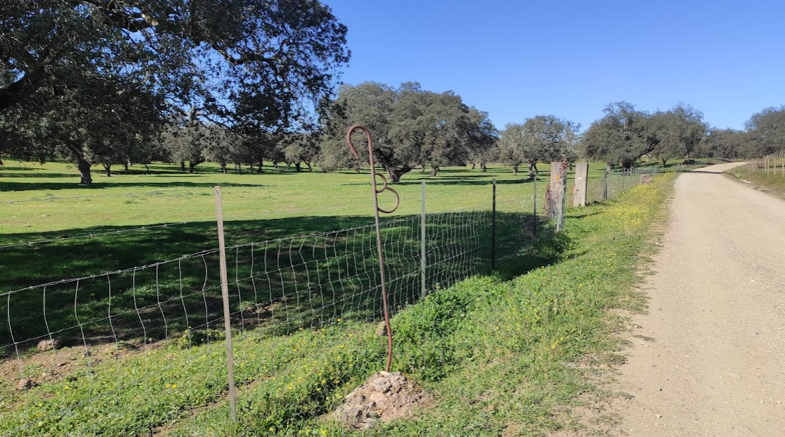 Crónica de la salida de Castilblanco de los Arroyos al Real de la Jara (Vía de la Plata) 21 y 22-01-2023