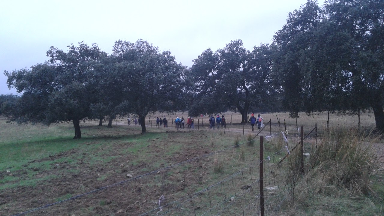 Crónica de la Salida de Alanís a Guadalcanal el 03-12-2016 (Camino de la Frontera)