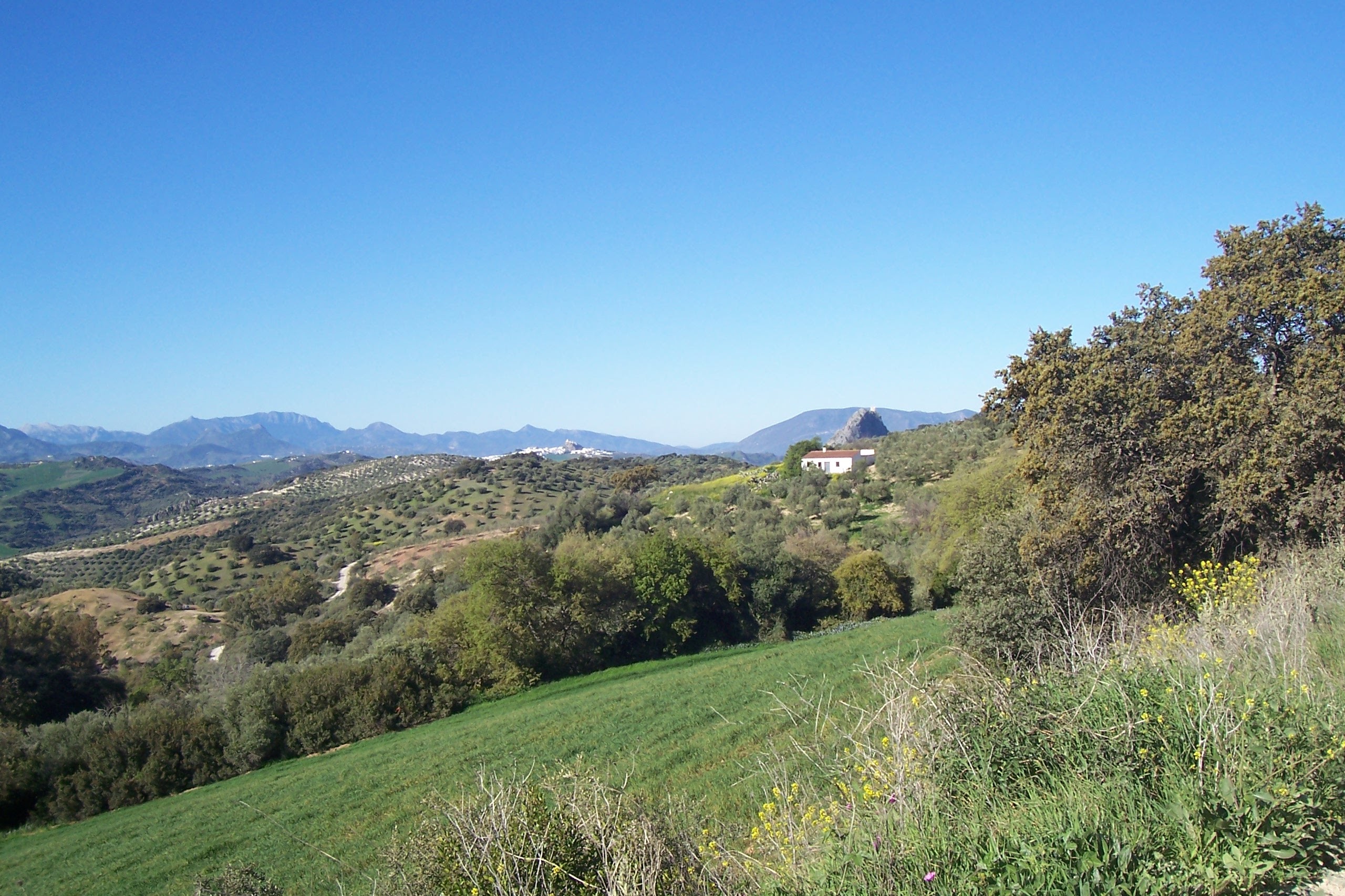 Salida Pruna - Algámitas (Camino de la Frontera)