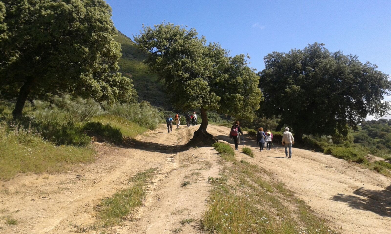 Salida el 14 de mayo de 2.016 al Camino de la Frontera. Etapa Pruna - Algámitas.